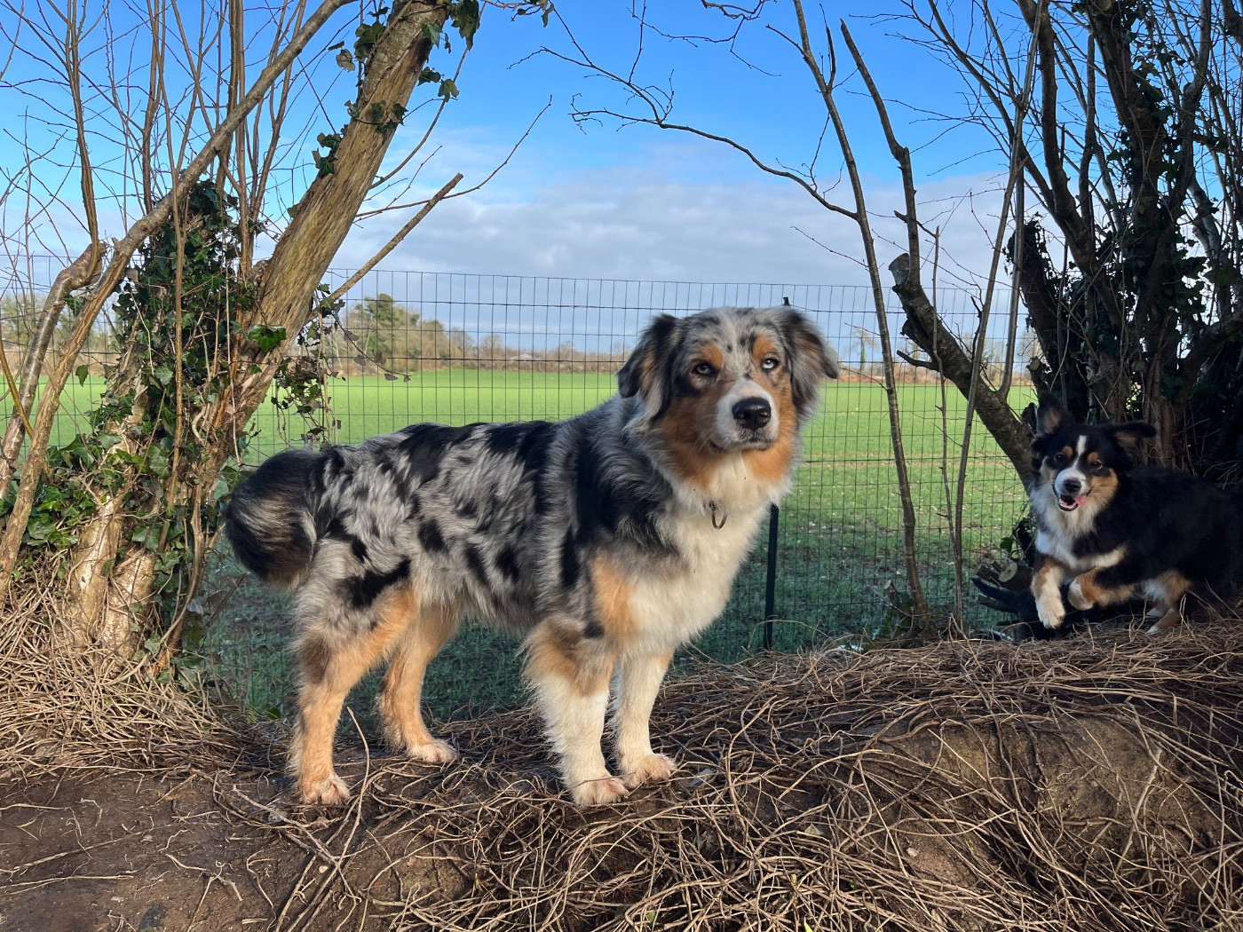 Soyala Des Vagues De Tendresse