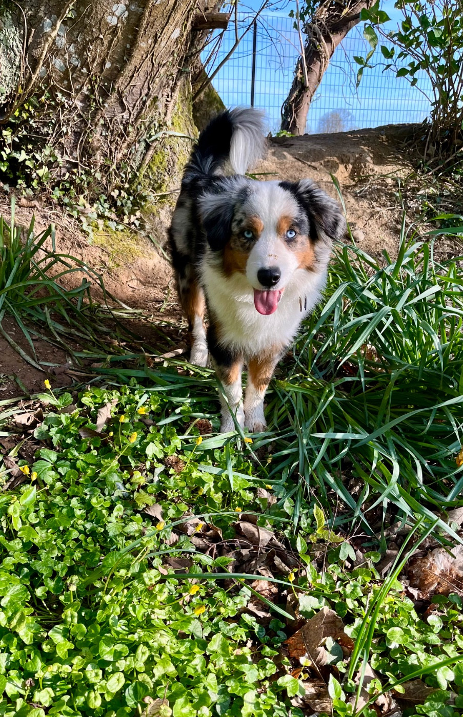 Atka Du Clos des duchesses